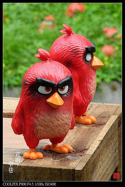 nEO_IMG_160522--Angry Birds 087-1000.jpg