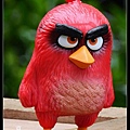nEO_IMG_160522--Angry Birds 127-1000.jpg