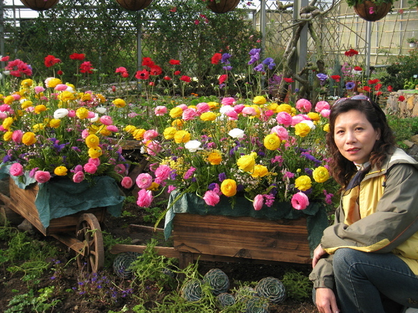 梅峰台大實驗林內花園