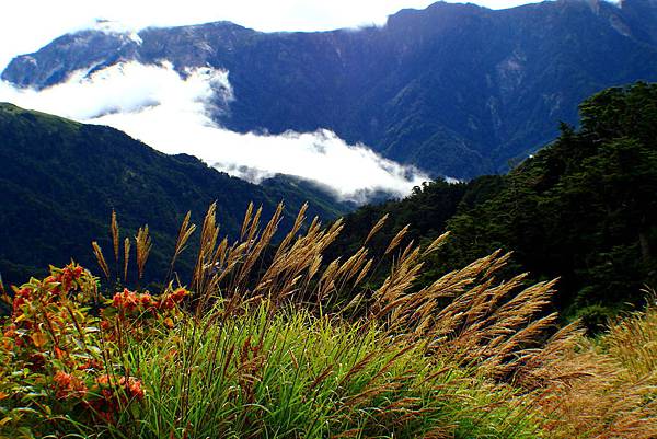 山巒美景