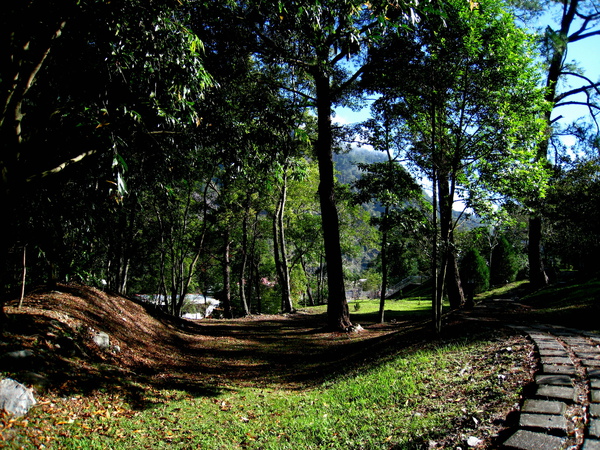 園內林蔭步道