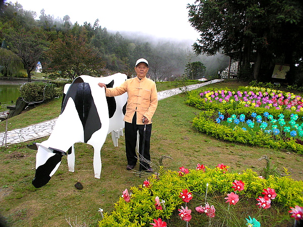 瑞士小花園美景