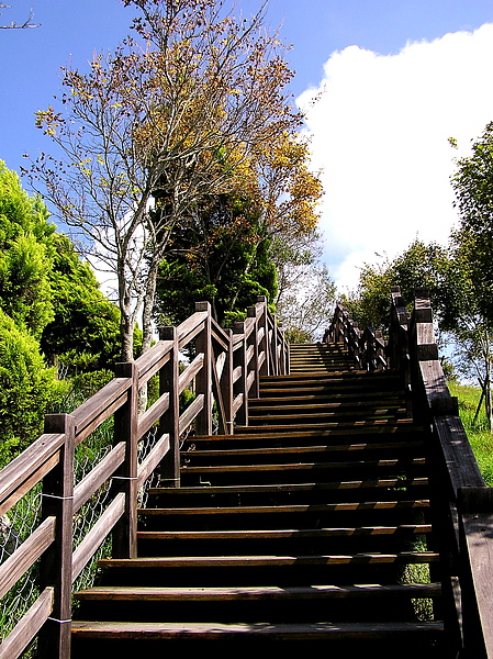 超美的高山步道