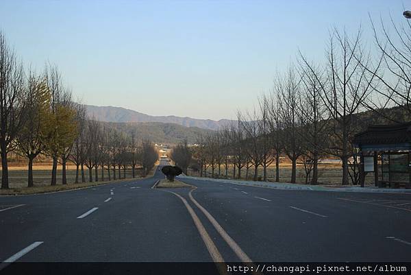 統一殿大道