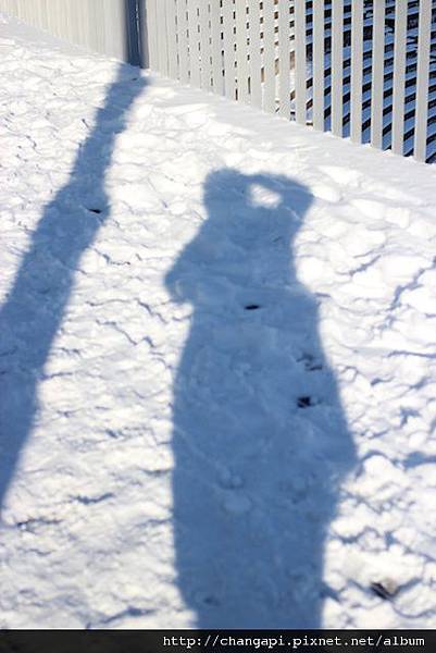 雪地裡的影子