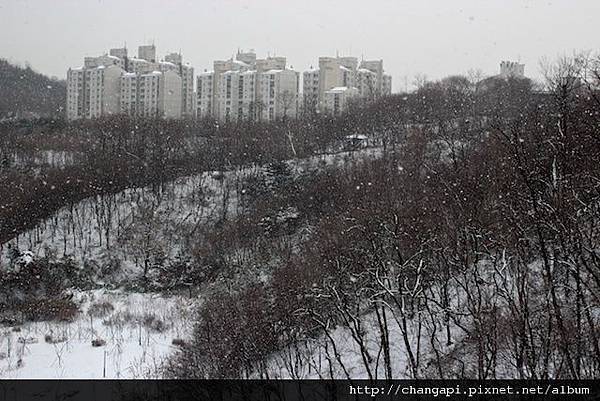 結果又下起了雪