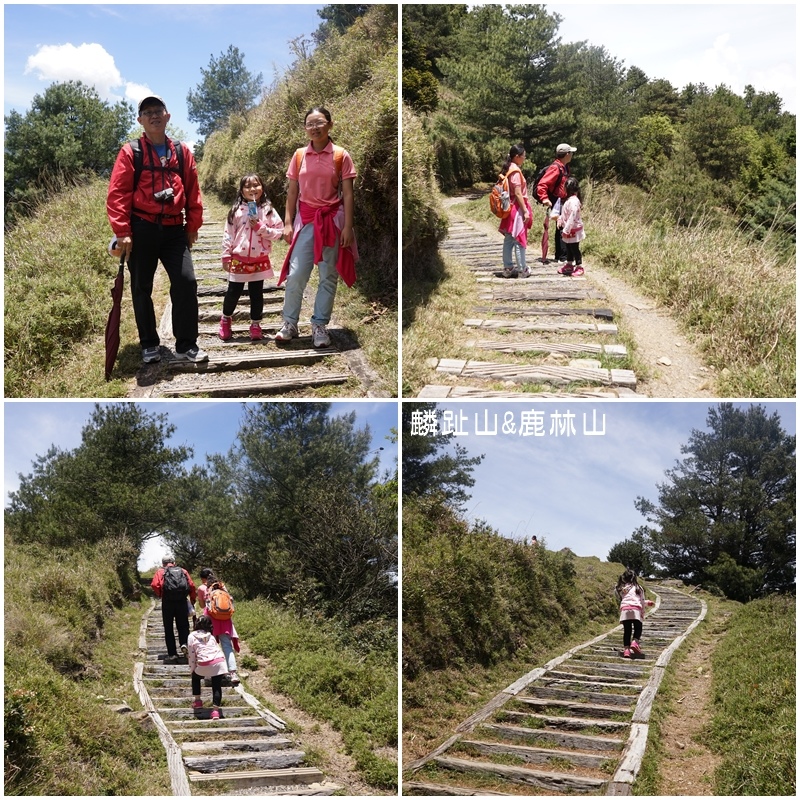 麟趾山.鹿林山19.jpg