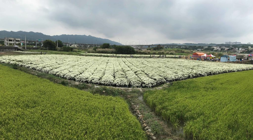 20181110_033219494_iOS.jpg 20181110_033219494_iOS.jpg