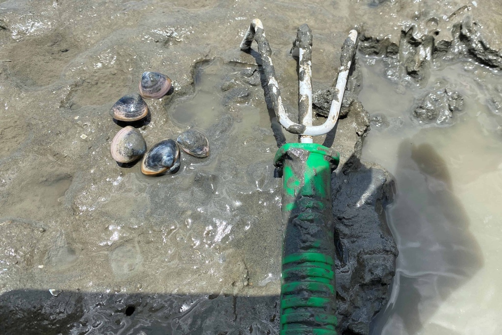 20210721_041220045_iOS.jpg 20210721_041220045_iOS.jpg