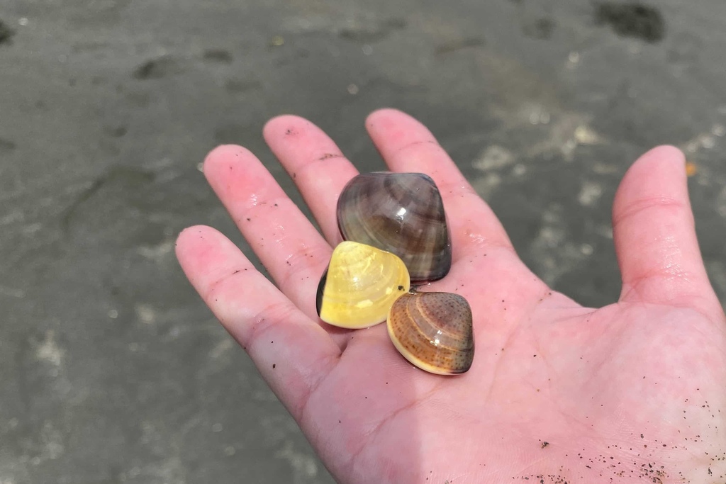 20210804_055901918_iOS.jpg 20210804_055901918_iOS.jpg