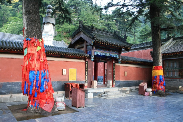 現於五台山鎮海寺 當代由章嘉活佛親手栽植的二顆樹林