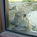 壽山動物園