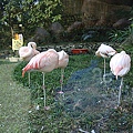 壽山動物園