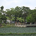 原生植物園