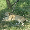 壽山動物園