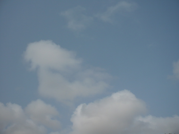 P1040120.JPG