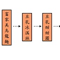 錦市場逛街路現