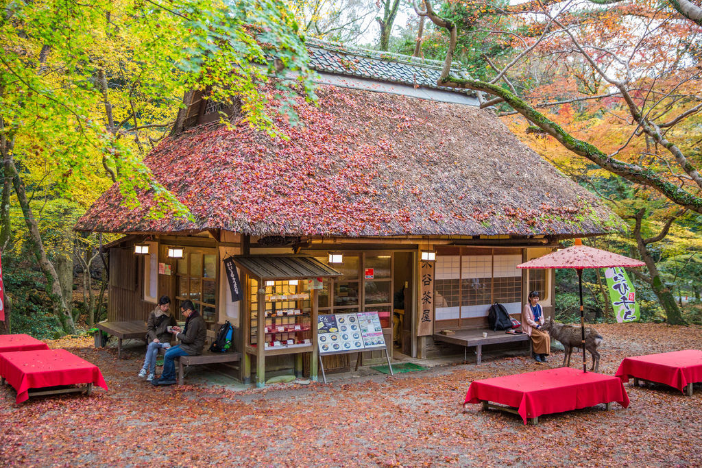 奈良楓景 楓林環繞的夢幻小屋 水谷茶屋 小黑的旅行誌 痞客邦