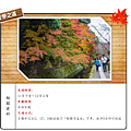 哲學之道.png