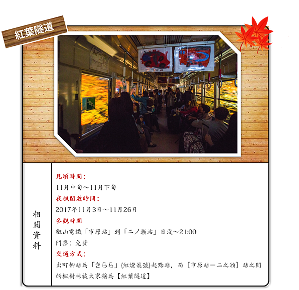 紅葉隧道.png