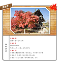 清涼寺.png