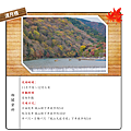 渡月橋.png