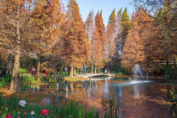 菁芳園.jpg