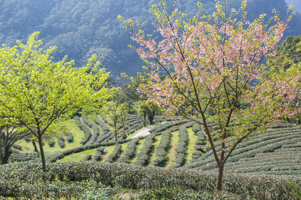 ãç空è¶åãçåçæå°çµæ