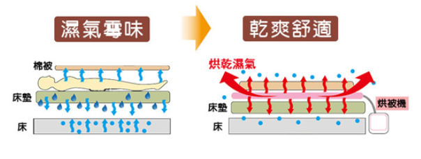 2018-12-28 下午 10-33-38.png