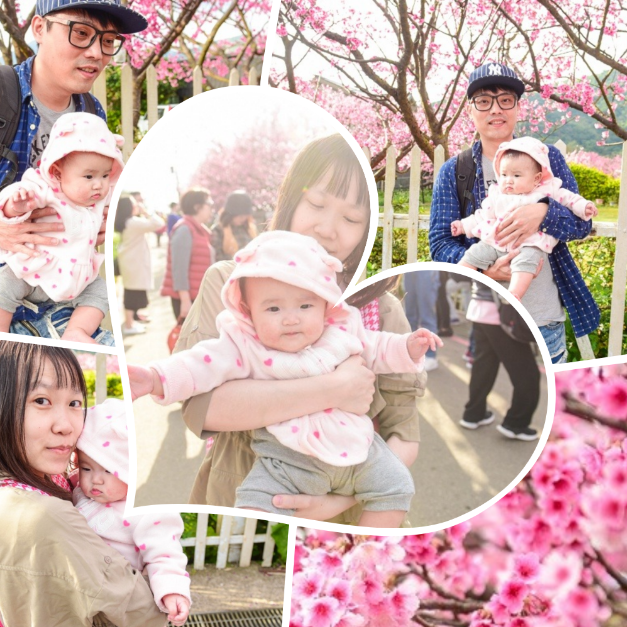 2019-2-11 下午 07-29-22.png 2019-2-11 下午 07-29-22.png