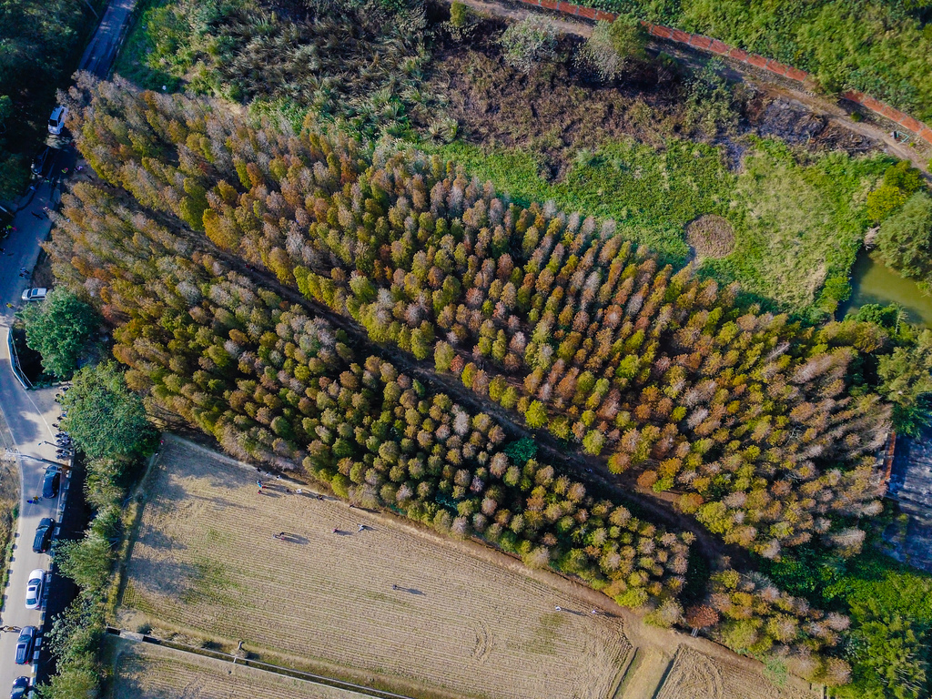 DJI_0018.jpg