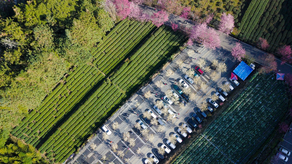 DJI_0004.jpg