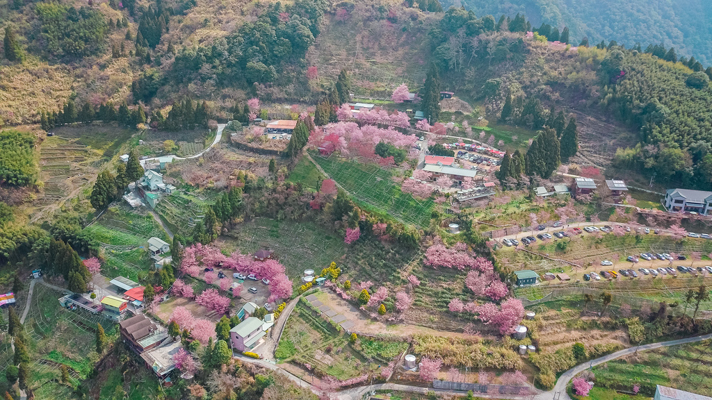 DJI_0059.jpg DJI_0059.jpg