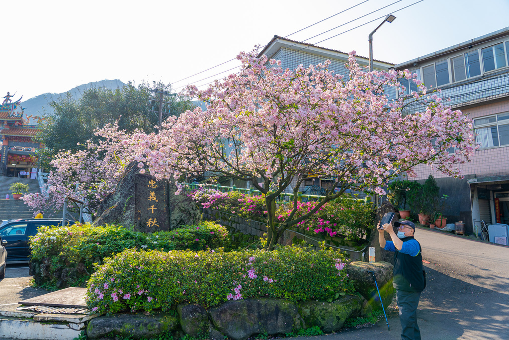 _DSC1923.jpg _DSC1923.jpg