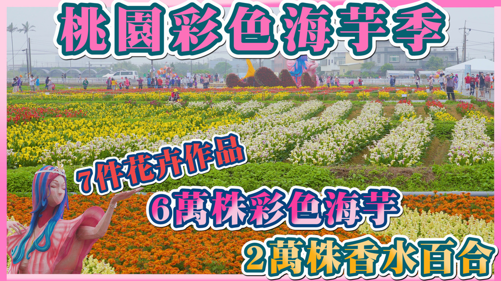 封面.jpg 封面.jpg