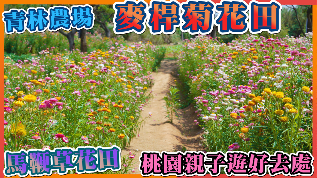 封面_R.jpg 封面_R.jpg