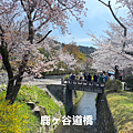 2023_京都櫻花_哲學之道_A73.00_19_43_28.Still024.png