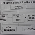 20110218104812888.jpg