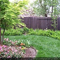 flowers in new home, 2011 015.JPG