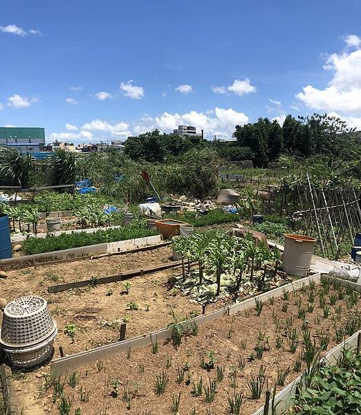 鳳鳴重劃區住宅建地-1