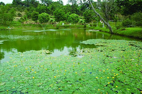 15-0305青塘園示意圖