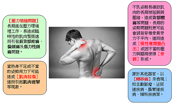背痛不要來 遠離背痛diy 彰化 彰廷復健科診所部落格 Chang Ting 痞客邦 背痛不要來 遠離背痛diy 彰化 彰廷復健科診所部落格 Chang Ting 痞客邦