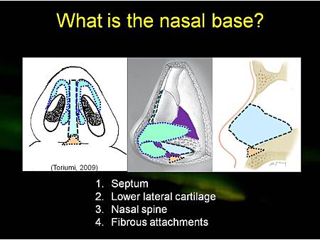 nasal base