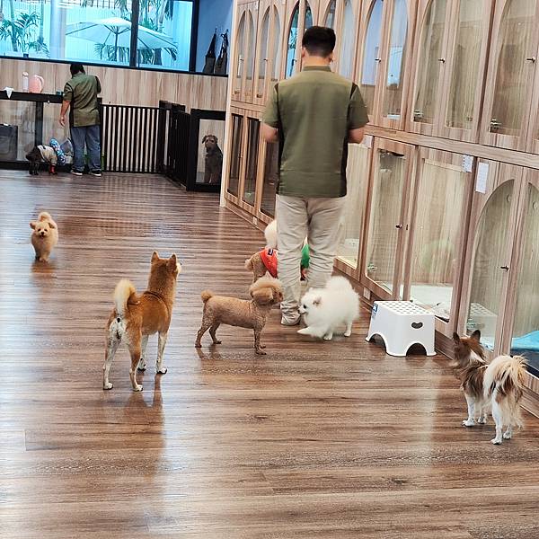 長照與日托-寵物長照「寵物商機」寵物產業趨勢教材-詹翔霖副教授寵物經濟新藍海 (16).jpg