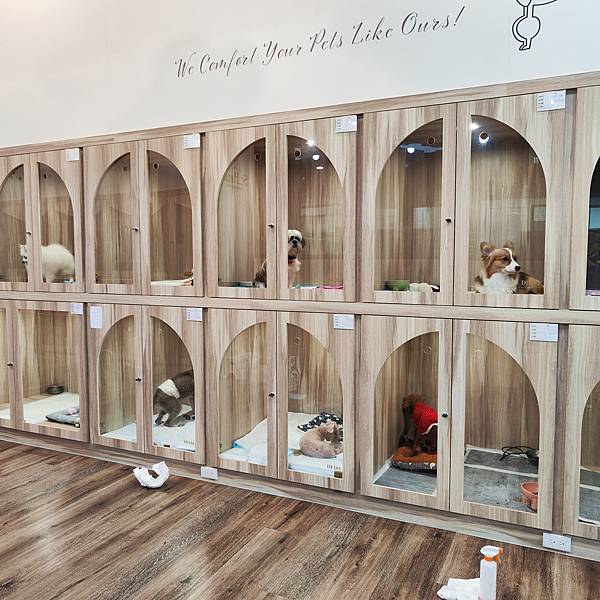 長照與日托-寵物長照「寵物商機」寵物產業趨勢教材-詹翔霖副教授寵物經濟新藍海 (14).jpg