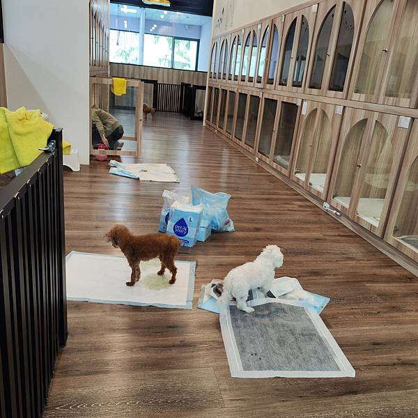 長照與日托-寵物長照「寵物商機」寵物產業趨勢教材-詹翔霖副教授寵物經濟新藍海 (18).jpg