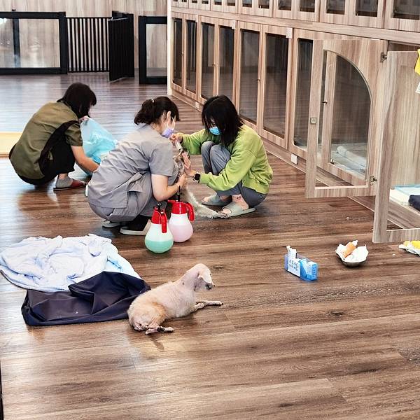 長照與日托-寵物長照「寵物商機」寵物產業趨勢教材-詹翔霖副教授寵物經濟新藍海 (17).jpg