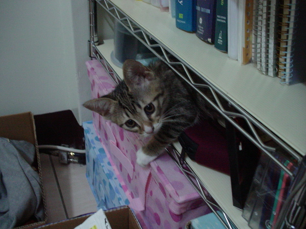 DSC04168.JPG DSC04168.JPG