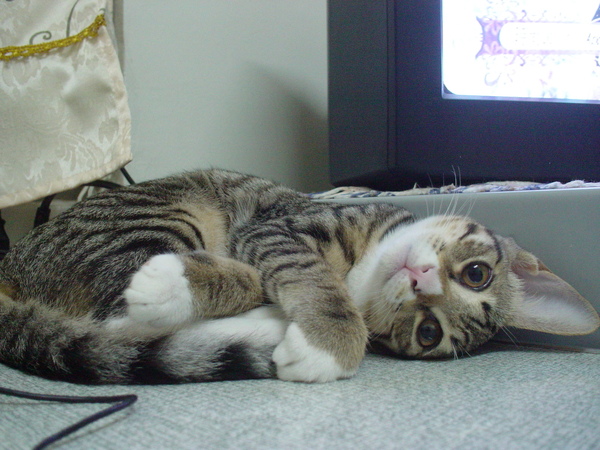 DSC04716.JPG DSC04716.JPG