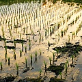 P1090464.JPG